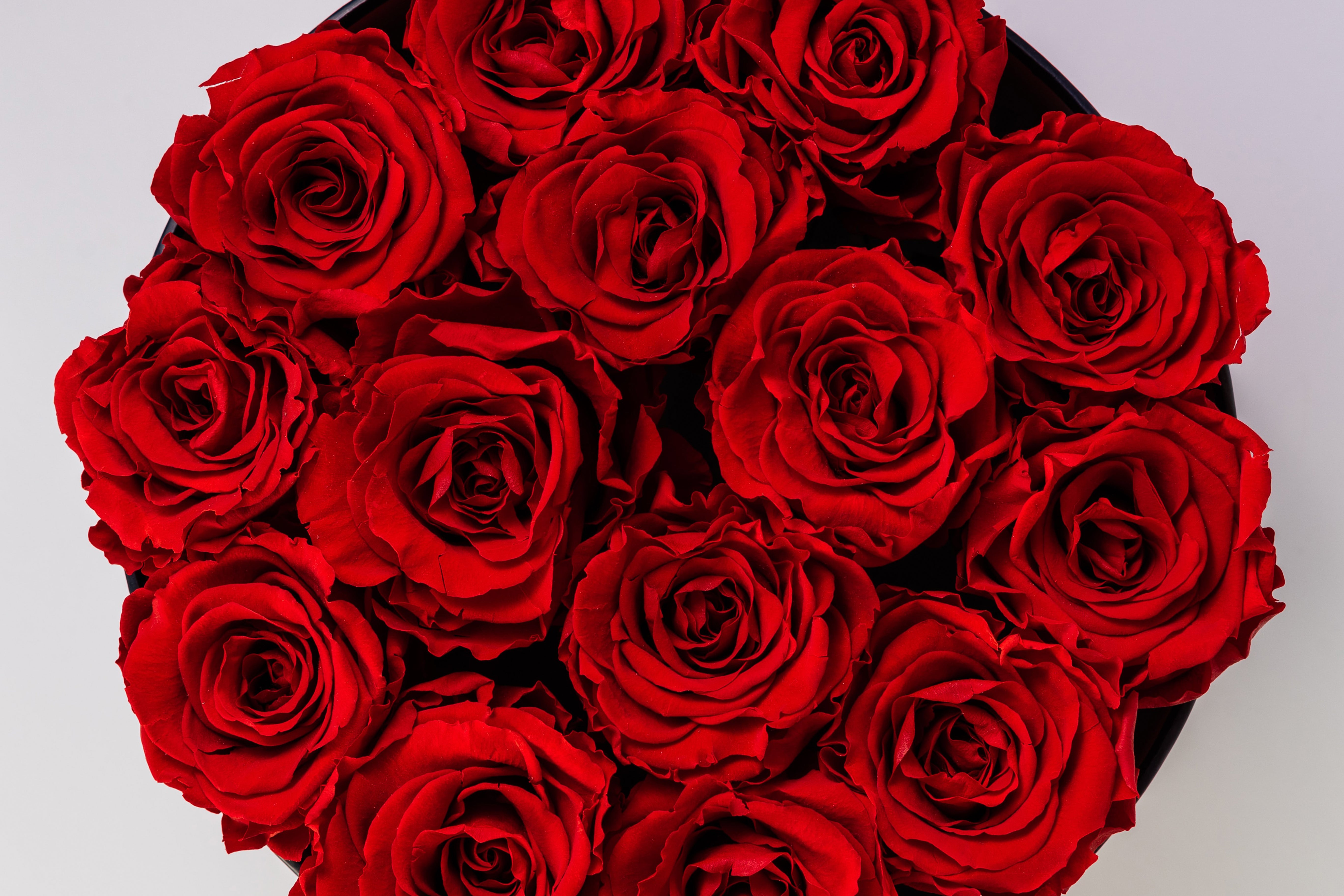 How to Extend the Life of Your Roses RosaExpress