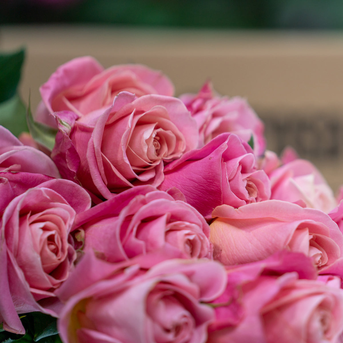 How to Keep Your Roses Fresh Longer