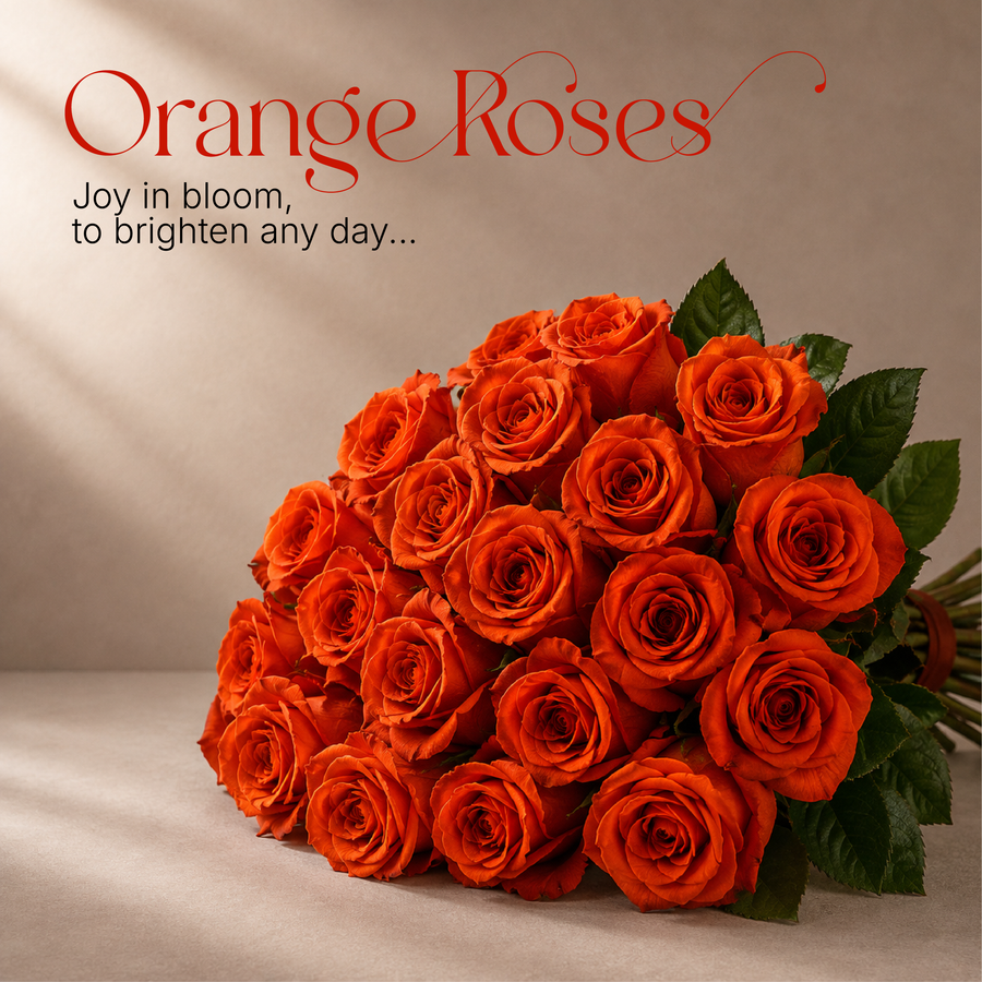 Orange Roses