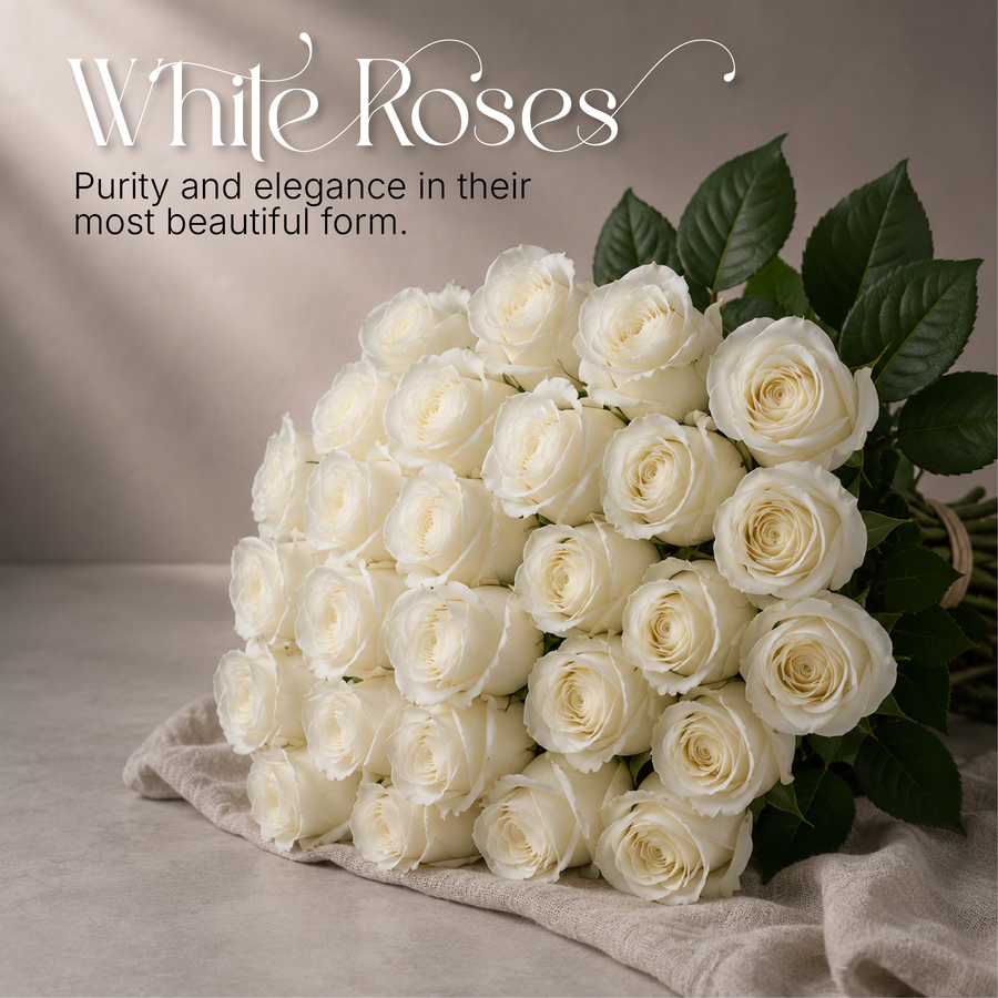 White Roses