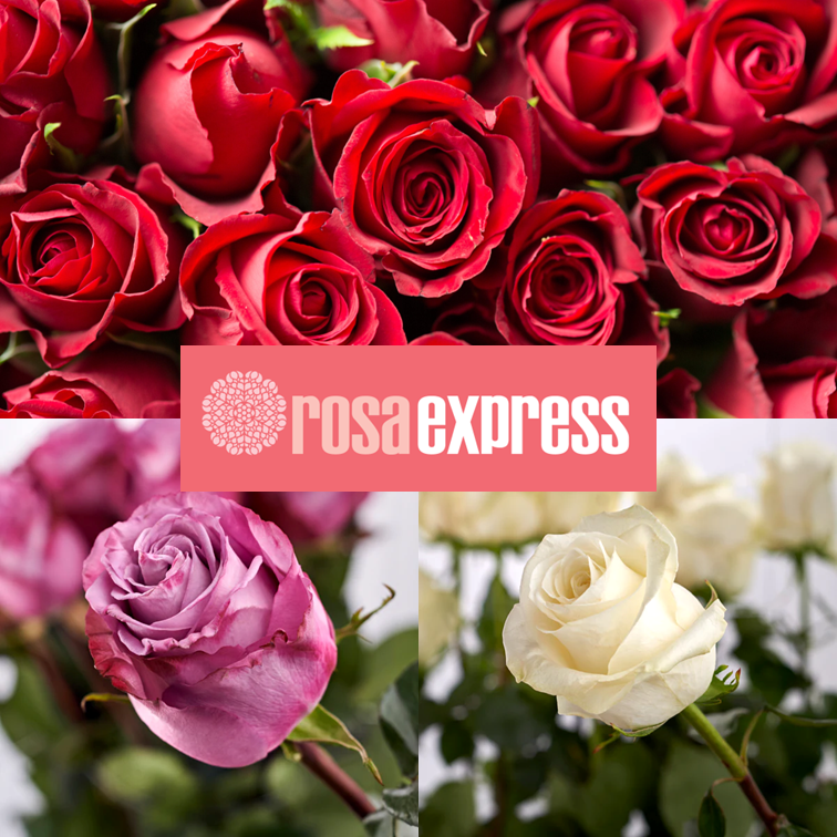 200 Yellow Roses - Special Order