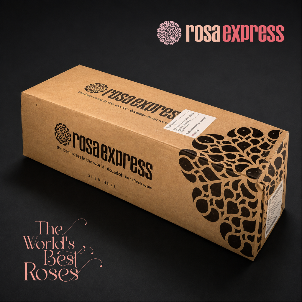 White Roses — 50 Roses