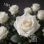 White Roses — 50 Roses