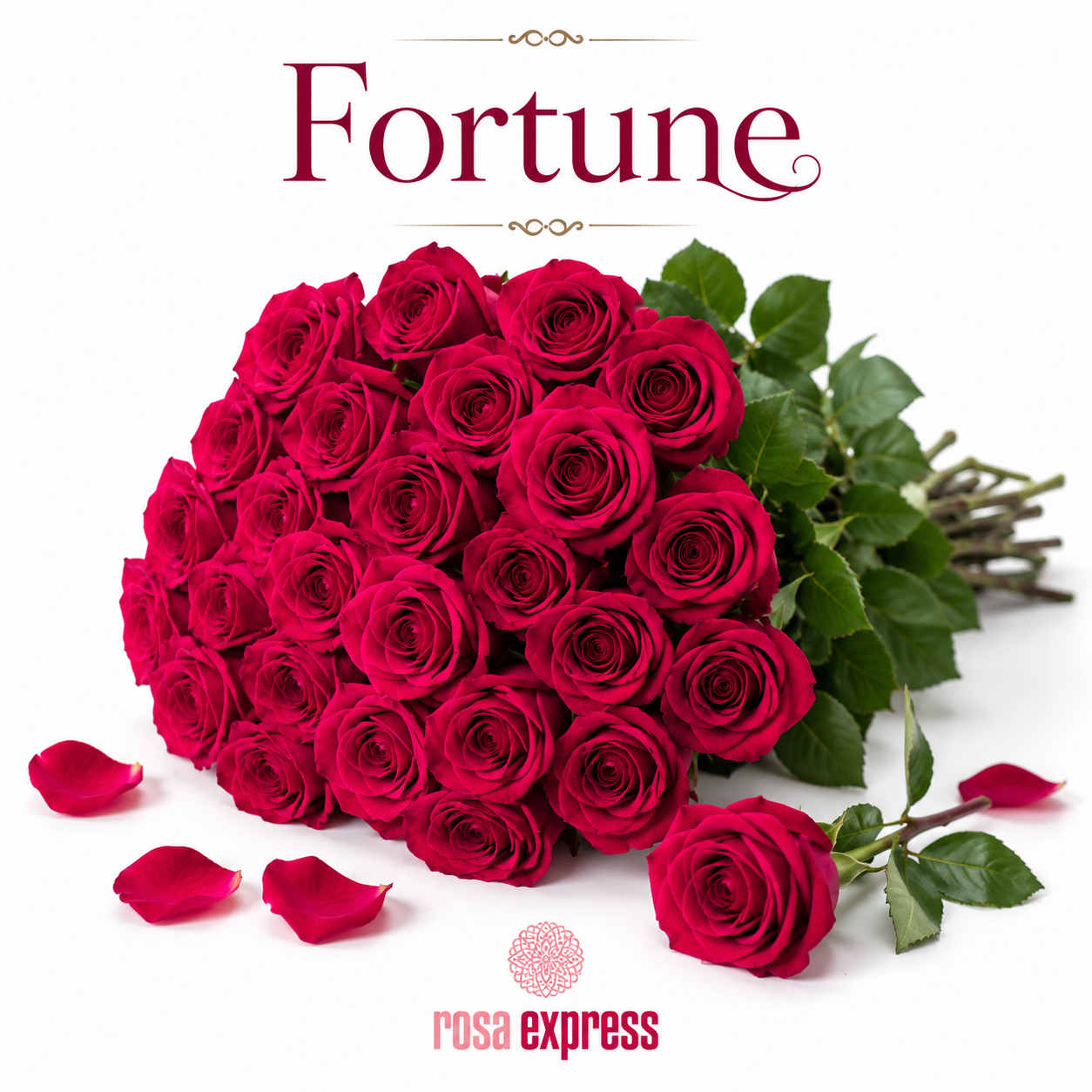 Fortune Roses – Premium Ecuadorian Red Roses
