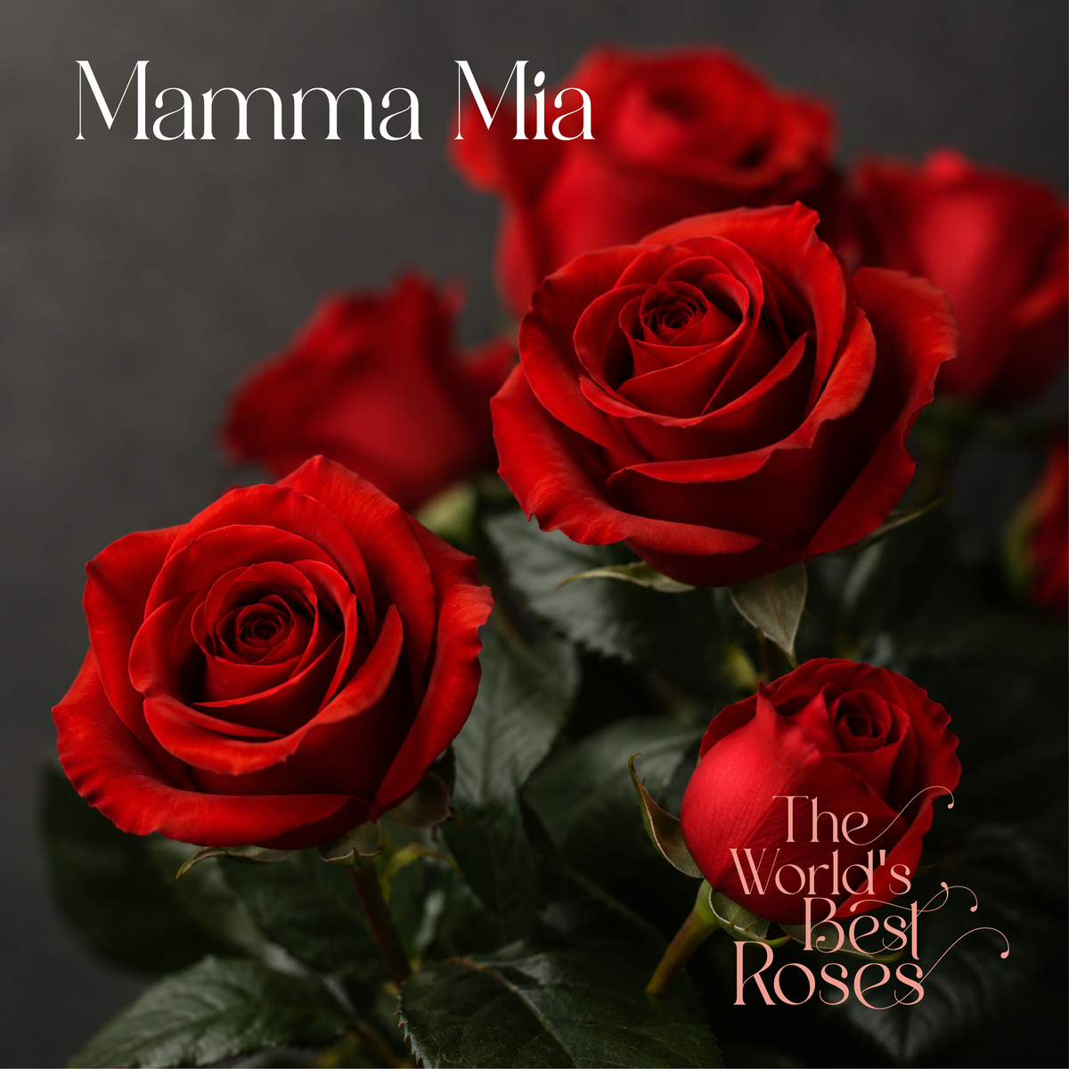 Red Roses