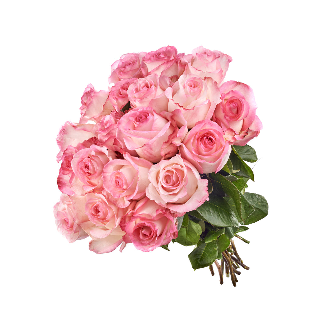 ROSAEXPRESS: Send roses for anniversaries, birthdays or just because ...