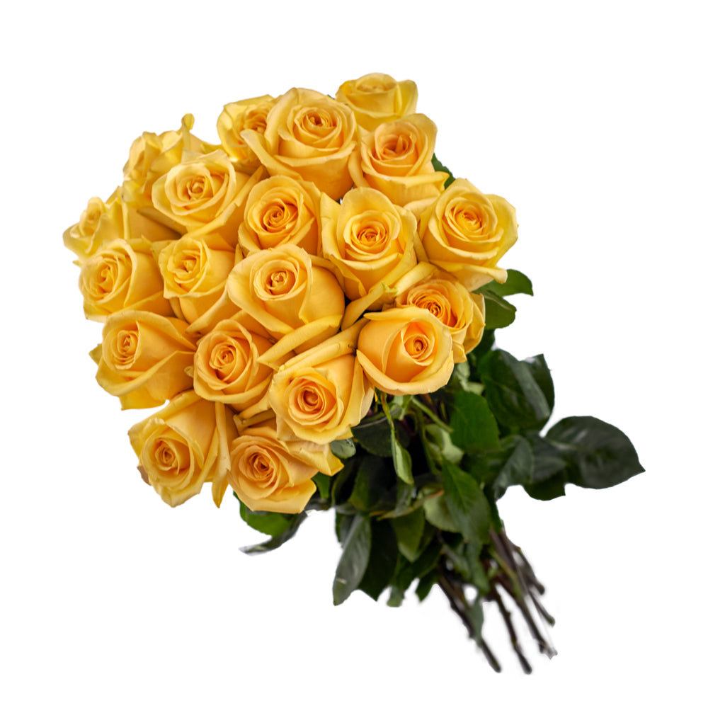 200 Yellow Roses - Special Order