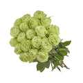 Wild Green