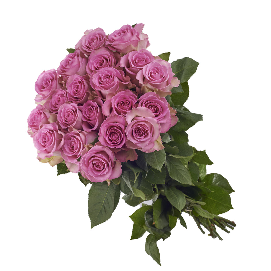 ROSAEXPRESS: Send roses for anniversaries, birthdays or just because ...